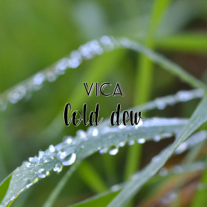 Vica的專輯Cold dew