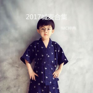 Album 2017喊麦合集 from 