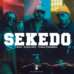 ดาวน์โหลดและฟังเพลง SEKEDO พร้อมเนื้อเพลงจาก DVX