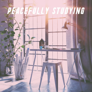 Album Peacefully Studying from Studying Music Group