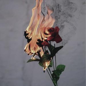 Album temporary fix from Ray Walters
