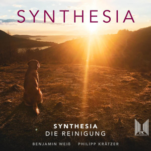 ดาวน์โหลดและฟังเพลง Die Reinigung พร้อมเนื้อเพลงจาก Synthesia