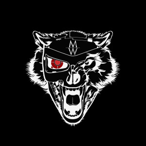 Listen to Medley Tribute to Chester Bennington & Chris Cornell song with lyrics from Machine Wulf