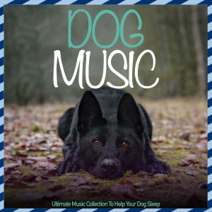 Relax My Dog的專輯Dog Music - Ultimate Music Collection to Help Your Dog Sleep