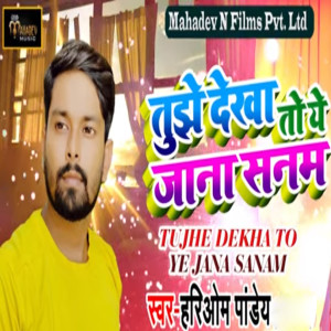 Dengarkan Tujhe Dekha To Ye Jana Sanam lagu dari Hariom Pandey dengan lirik