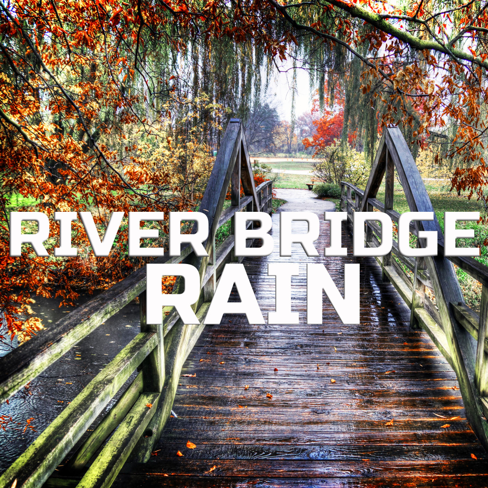 White Noise River Bridge Rain