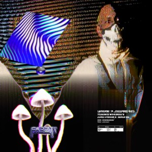 ดาวน์โหลดและฟังเพลง PUSH (₪ ACiD₪ ) พร้อมเนื้อเพลงจาก FABZ Pi