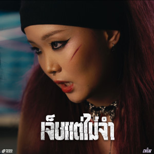 收聽CHILAX的เจ็บแต่ไม่จำ (Instrumental)歌詞歌曲