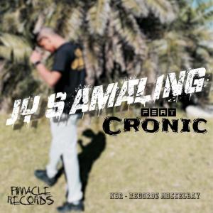 Pinnacle Records Ent的專輯Jy's Amazing (feat. Cronic) [Explicit]