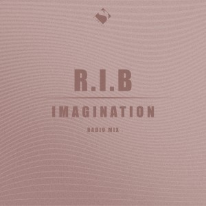 ดาวน์โหลดและฟังเพลง Imagination (Radio Mix) พร้อมเนื้อเพลงจาก R.I.B