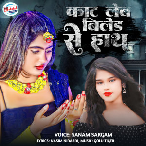 ดาวน์โหลดและฟังเพลง Kat Leb Biled Se Hath พร้อมเนื้อเพลงจาก Sanam Sargam