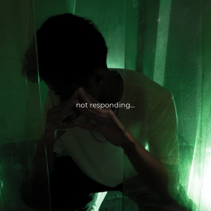 收听insanzaiz的Not Responding歌词歌曲
