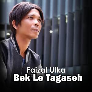 Faizal Ulka的專輯Bek Lee Tagaseh