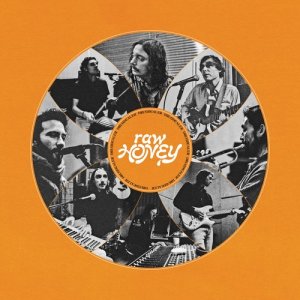 收聽Drugdealer的Honey歌詞歌曲