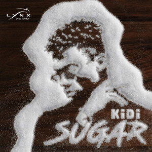 ดาวน์โหลดและฟังเพลง Adiepena พร้อมเนื้อเพลงจาก Kidi