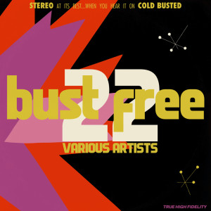 Album Bust Free 22 from Various