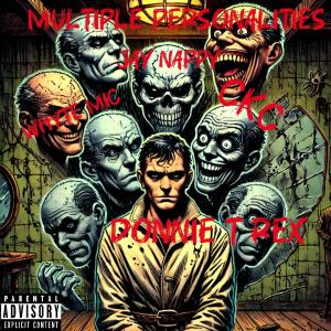 收聽Donnie T rex的Multiple Personalities (feat. Wyte Mic, Cato Kirin Casper & Jay Nappy) (Explicit)歌詞歌曲