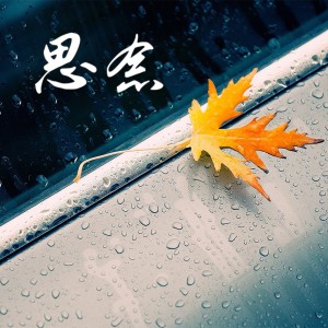 Listen to 思念 (完整版) song with lyrics from 张弄儿YOYO
