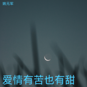 姚元军的专辑爱情有苦也有甜