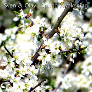 Sven & Olav的專輯Spring Awakening (Radio Mix)