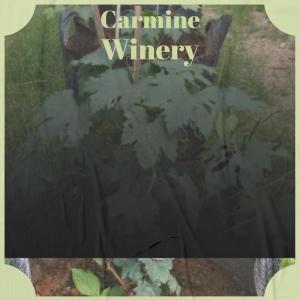 Listen to Verdant Illumination song with lyrics from Anie Lovise