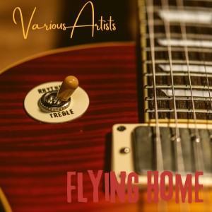Various的专辑Flying Home