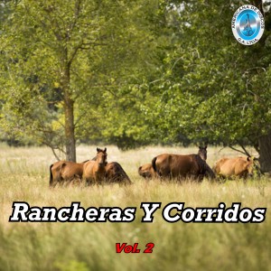 Album Rancheras y Corridos, Vol. 2 from Varios Artistas