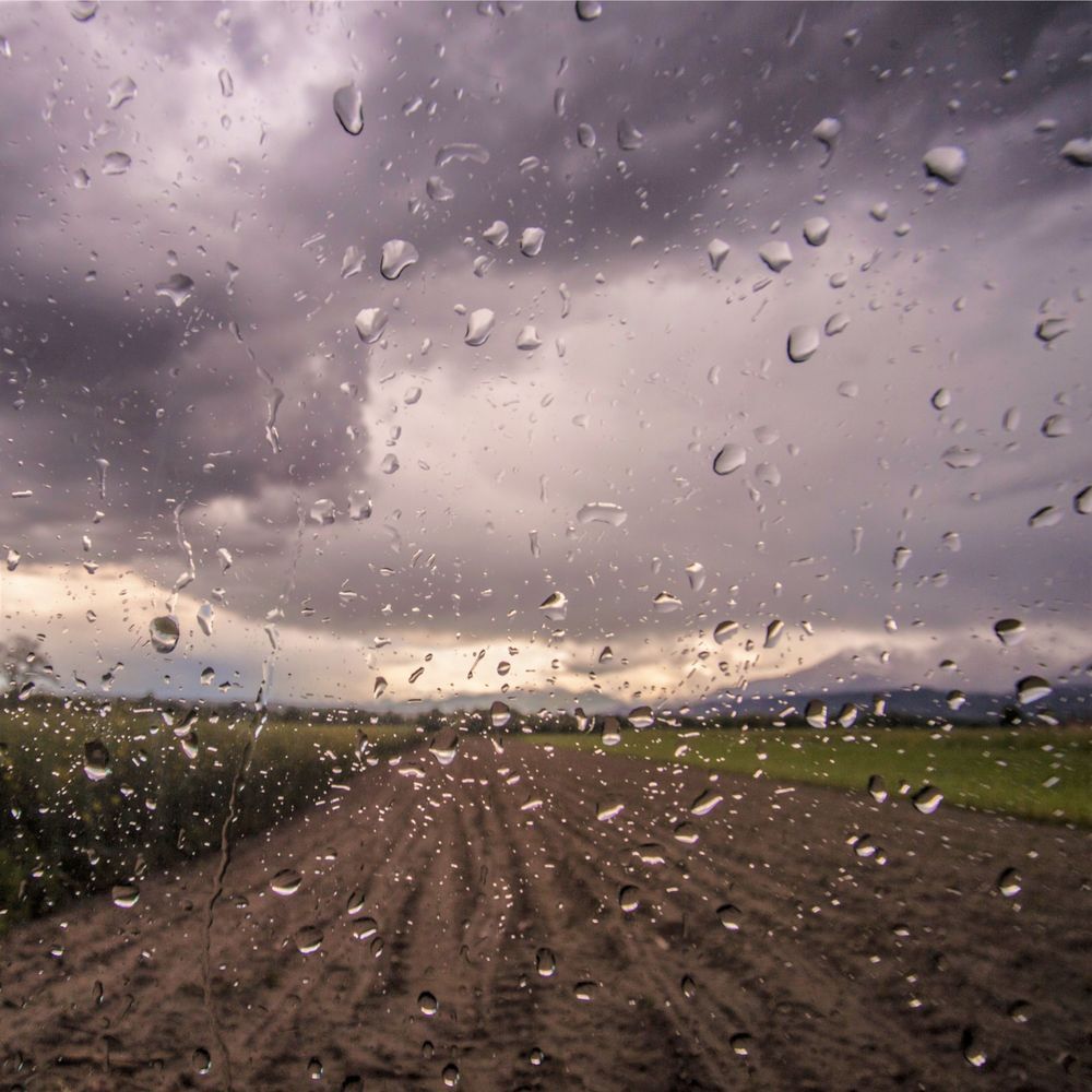 Rainy Traffic