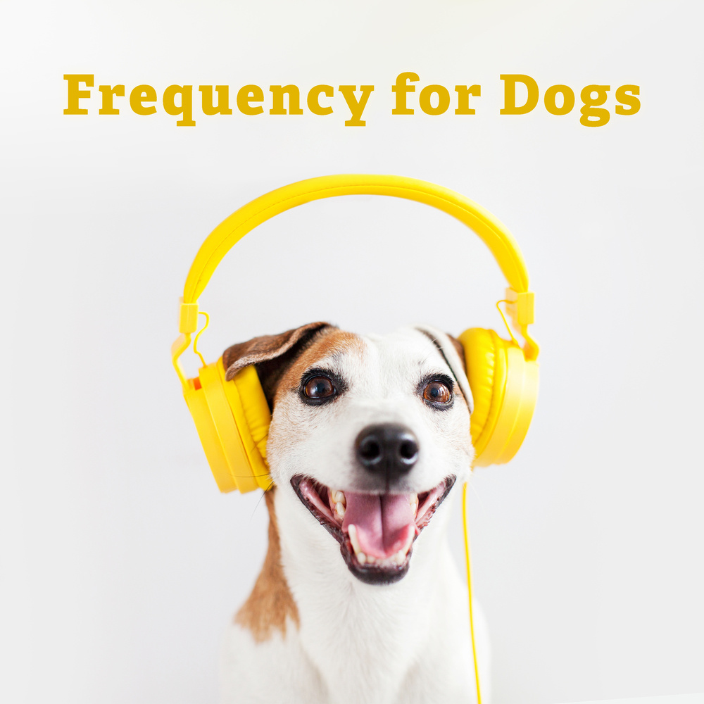 Hz Music Therapy