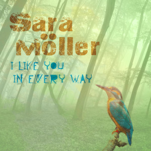 Album I Like You In Every Way from Sara Möller