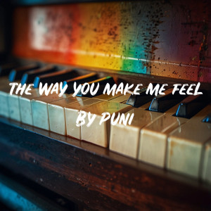 Puni的專輯The Way You Make Me Feel