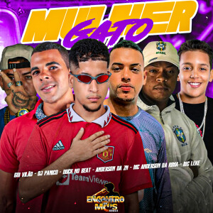 Listen to Mulher Gato (Explicit) song with lyrics from Anderson Da ZN