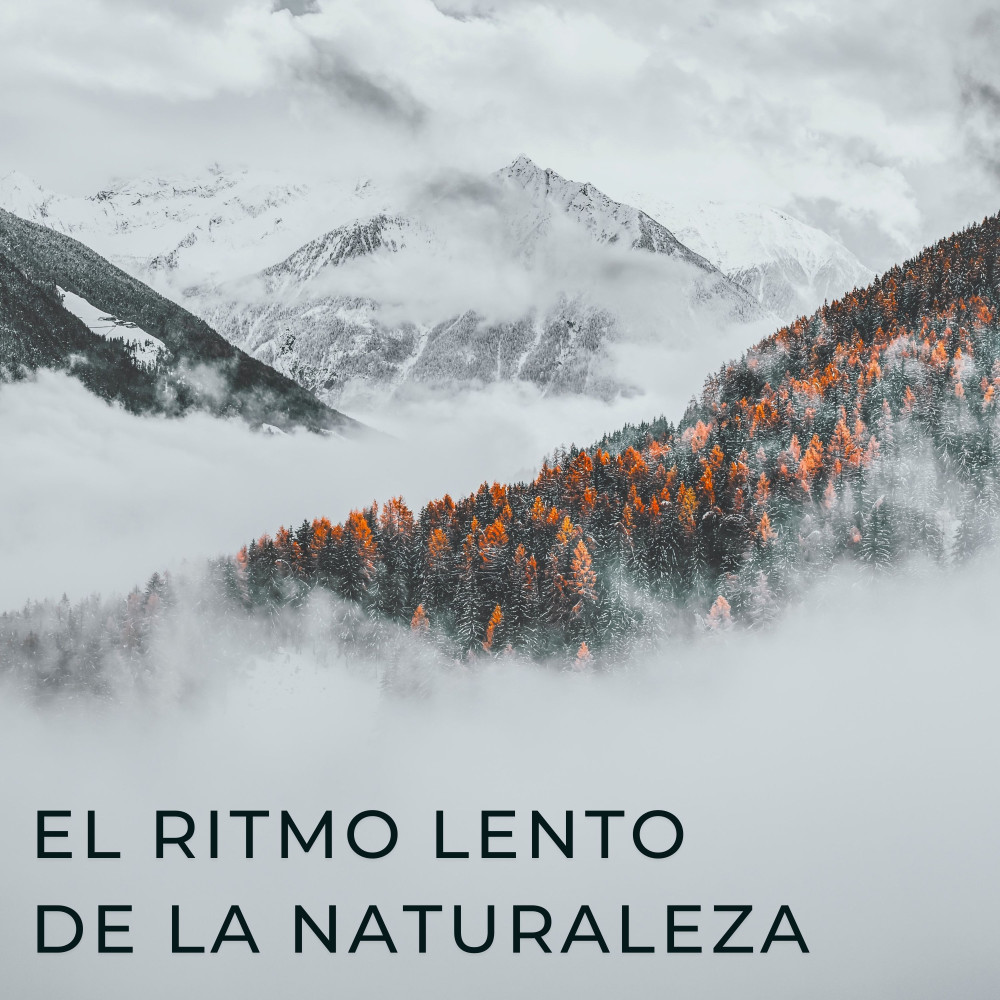 Corriente De Desierto
