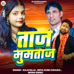 Raju Raja的專輯Taj Mumtaj