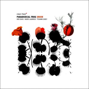 收聽Paradoxical Frog的An Intermittent Procession歌詞歌曲