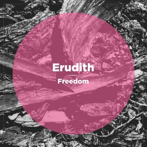 Erudith的專輯Freedom