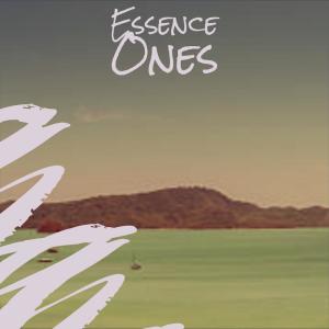 ดาวน์โหลดและฟังเพลง Toyshop Abide พร้อมเนื้อเพลงจาก Wail Zano