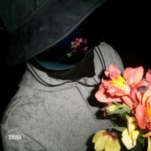 Album Toute ma vie (Explicit) from bigdata.playlists