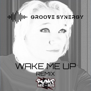 Album Wake Me Up (Groove Synergy Remix) from Roney Jay