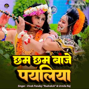 收聽Vivek Pandey Rudrakh的Chham Chham Baje Payaliya歌詞歌曲
