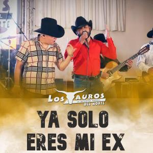ดาวน์โหลดและฟังเพลง Ya Solo Eres Mi Ex (feat. Junior Martínez) พร้อมเนื้อเพลงจาก Los Tauros del Norte