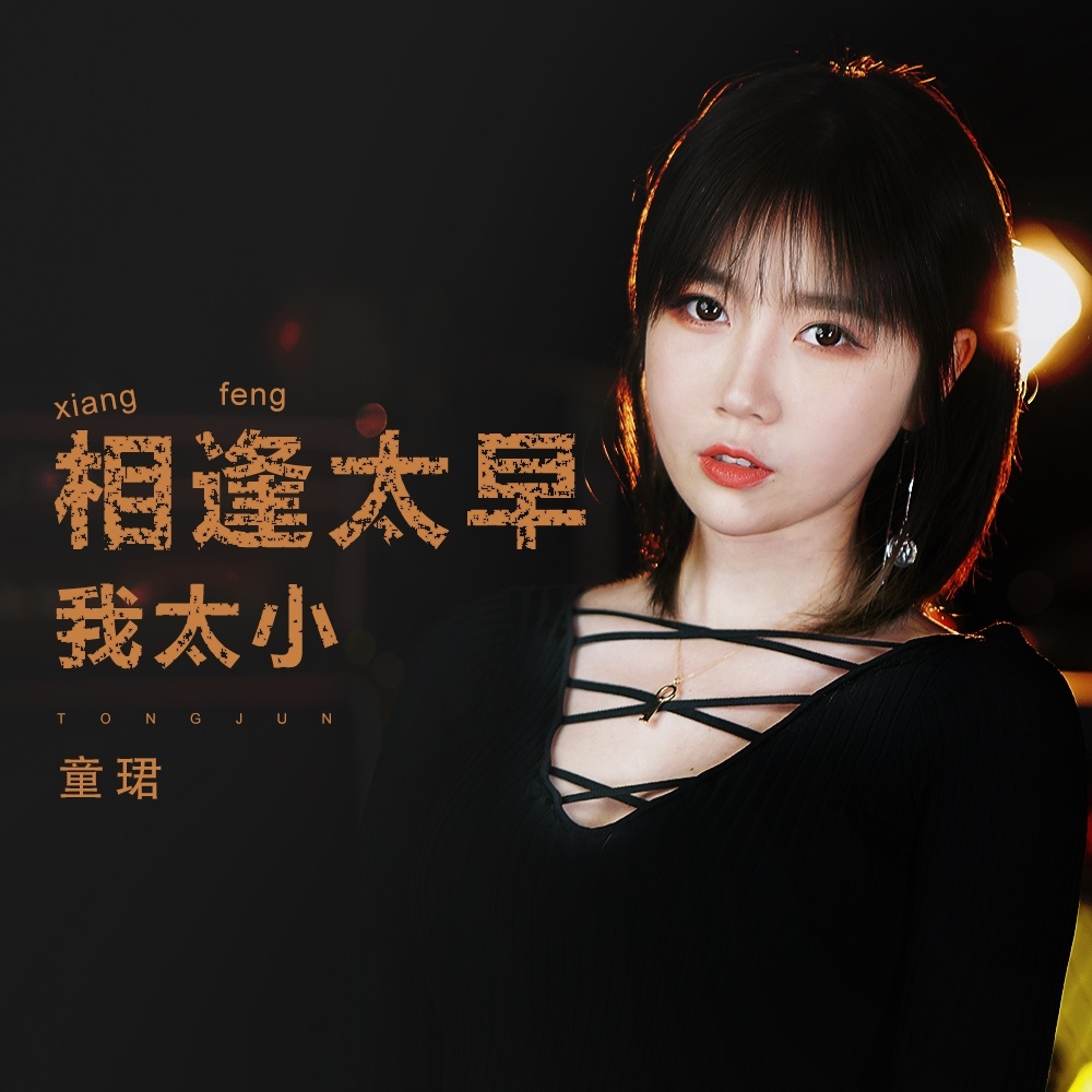 相逢太早我太小 (伴奏)