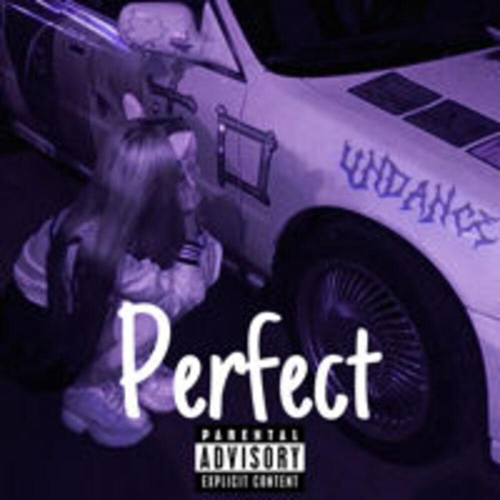 Perfect (feat. Free For Profit Type Beats) (Explicit)