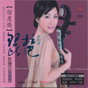 Album 佰度烧--琵琶 from 缪晓铮