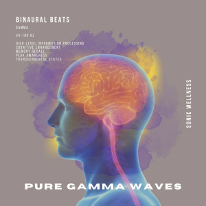 ดาวน์โหลดและฟังเพลง 56 Hz Pure Gamma Waves [20 Minute Session] พร้อมเนื้อเพลงจาก Sonic Wellness