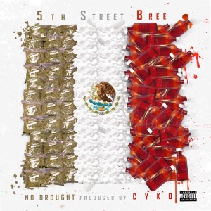 5th Street Bree的專輯No Drought