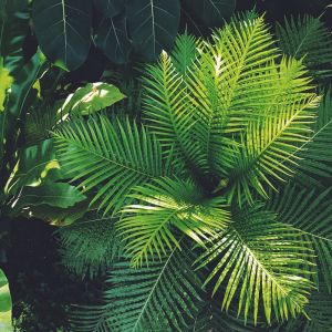 收听Deep Sleep的Weightless歌词歌曲