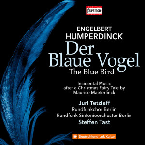 Rundfunk-Sinfonieorchester Berlin的專輯Humperdinck: Der Blaue Vogel (Concert Version Ed. S. Tast)