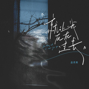 Listen to 就让我死在过去 song with lyrics from 盖君炎