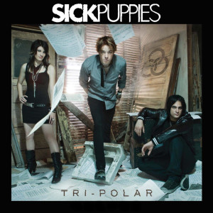 ดาวน์โหลดและฟังเพลง You're Going Down (Explicit) พร้อมเนื้อเพลงจาก Sick Puppies